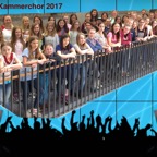 Kammerchor 2017-1.jpg